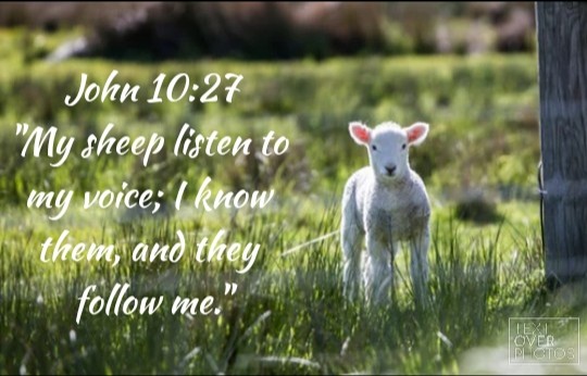 WhatsApp Image 2020-08-19 at 11.16.03